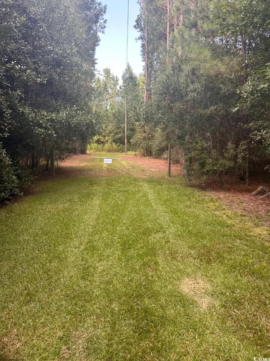 TBD Godwin Prince Ct, Loris, SC 29569 - Image #3