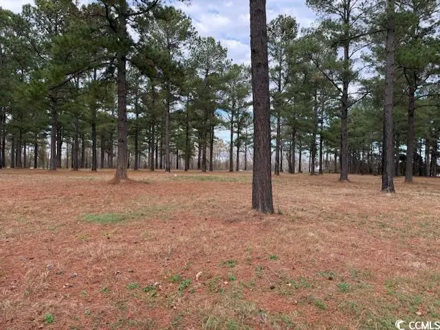 5.87 Acs Rabon Rd., Aynor, SC 29511 - Image #3