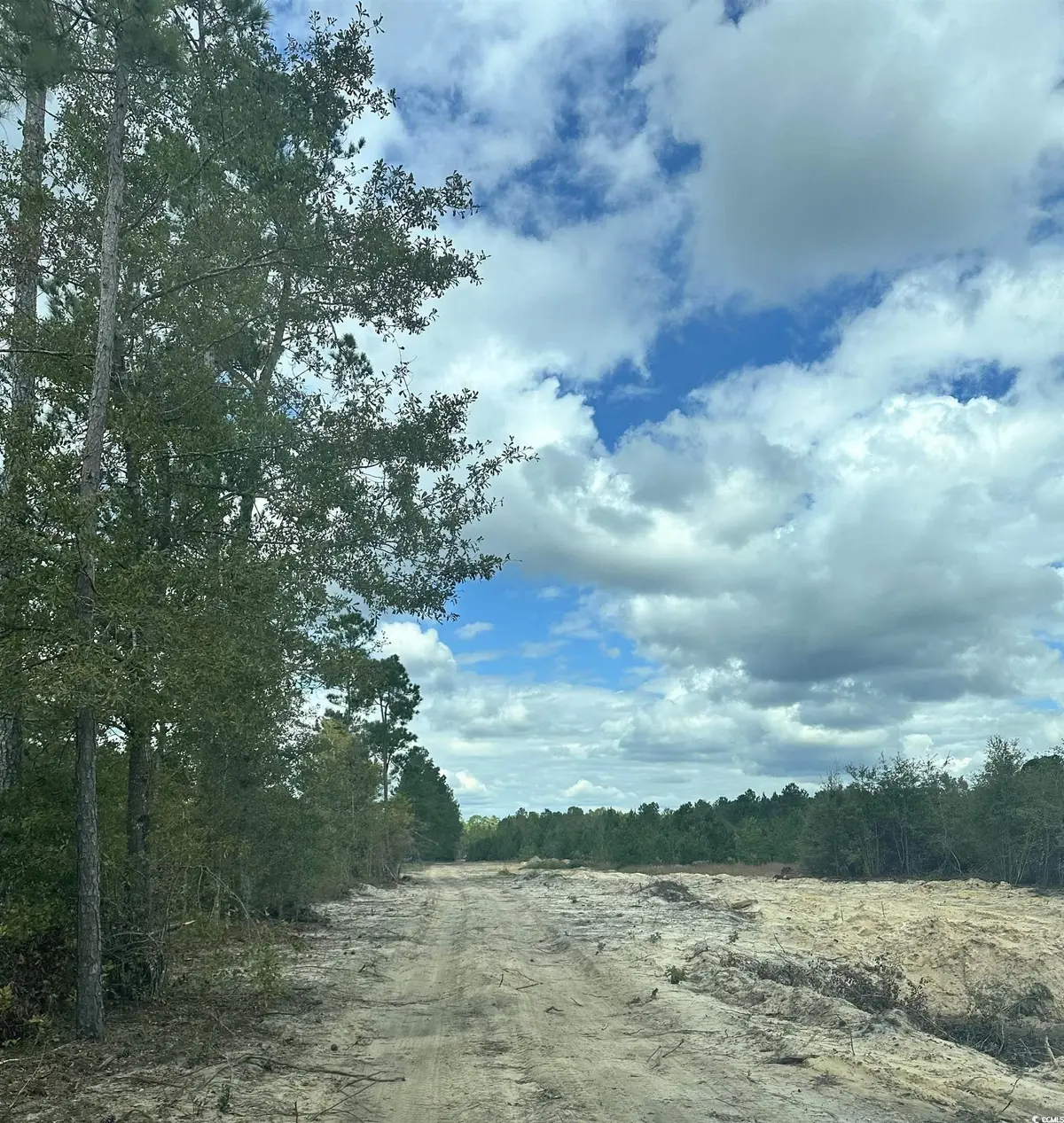 3369 Highway 430, Nichols, SC 29581 - Image #1