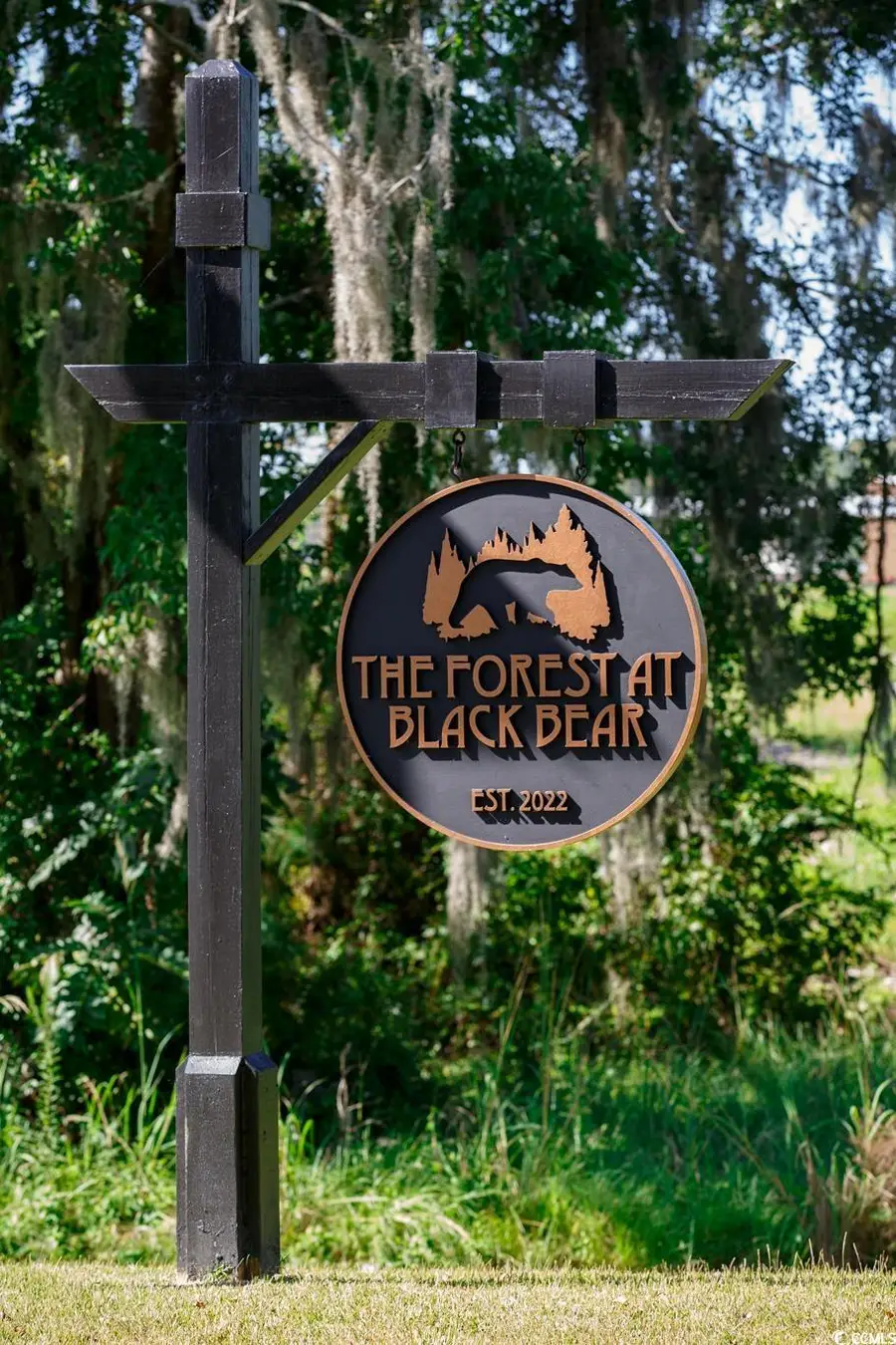 174 Honey Jar Way, Longs, SC 29568 - Image #3