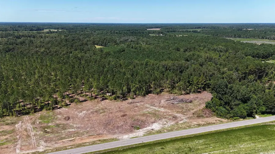 TBD Highway 19, Nichols, SC 29581 - Image #2