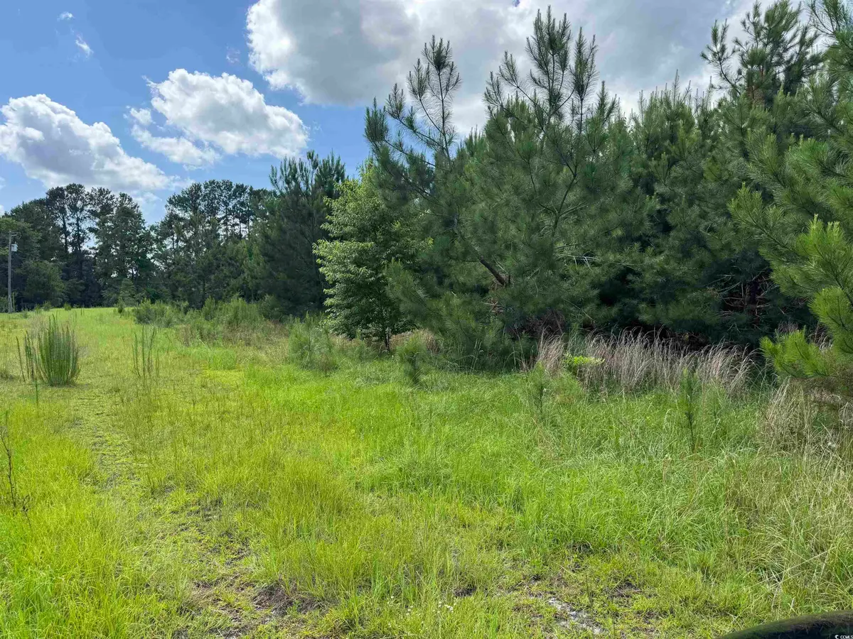 1212 Nursery Rd., Loris, SC 29569 - Image #1