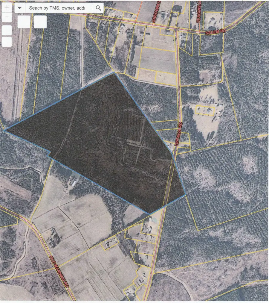 109 Acres - TBD Trifalia Rd., Scranton, SC 29591 - Image #2