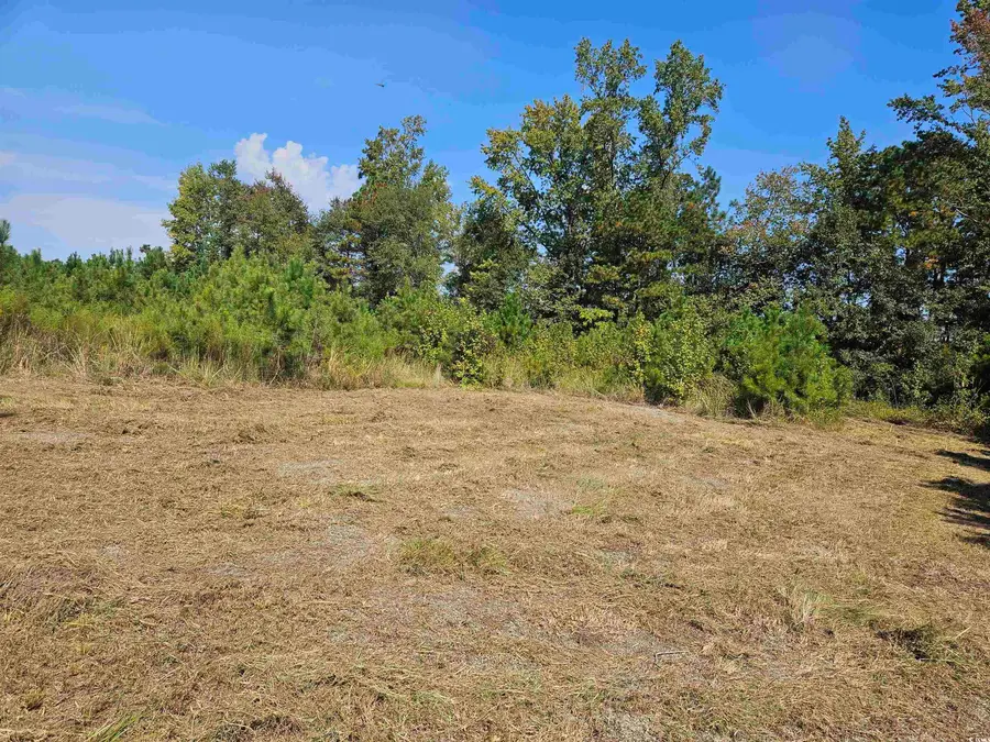 109 Acres - TBD Trifalia Rd., Scranton, SC 29591 - Image #3