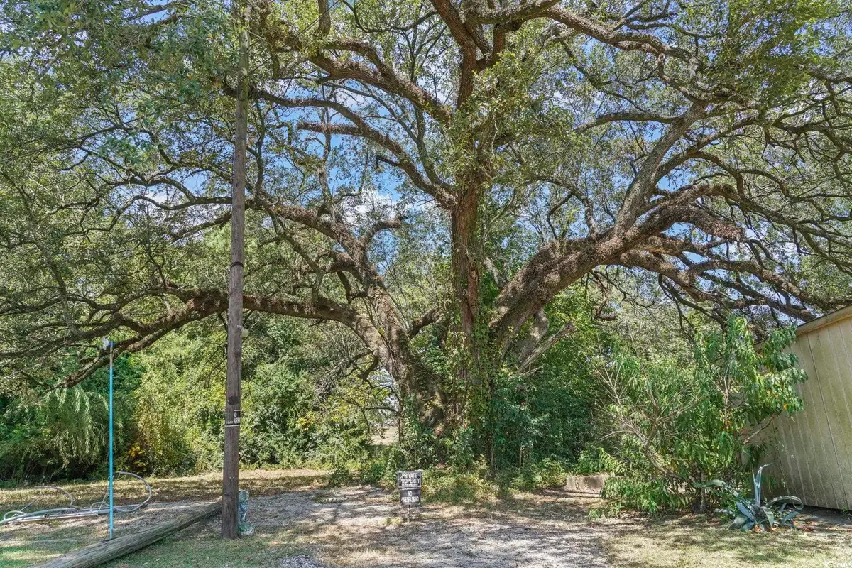 411 Apple Ln., Conway, SC 29526 - Image #1