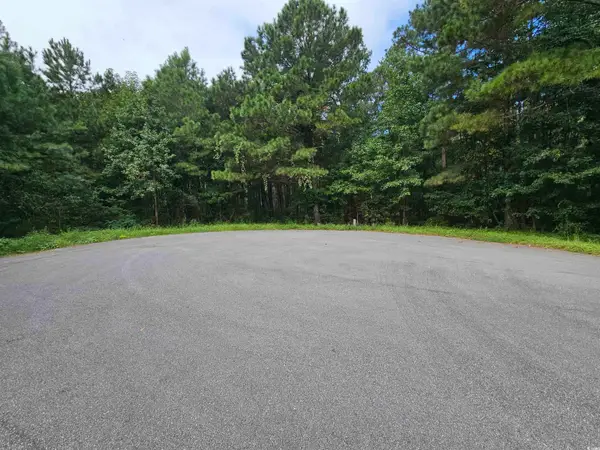 8344 Bucksport Heights Circle, Conway, SC 29527