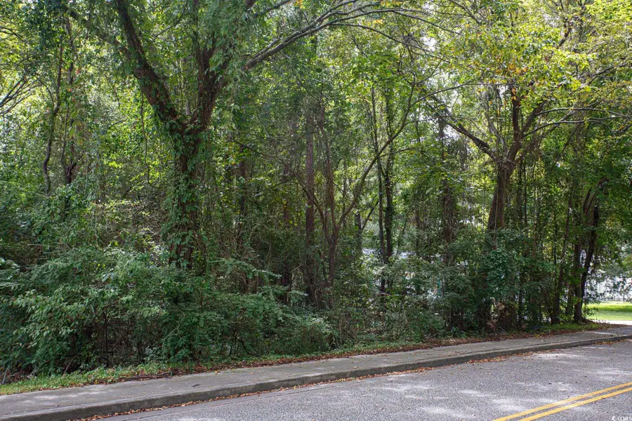 1211 Washington St., Myrtle Beach, SC 29577 - #3