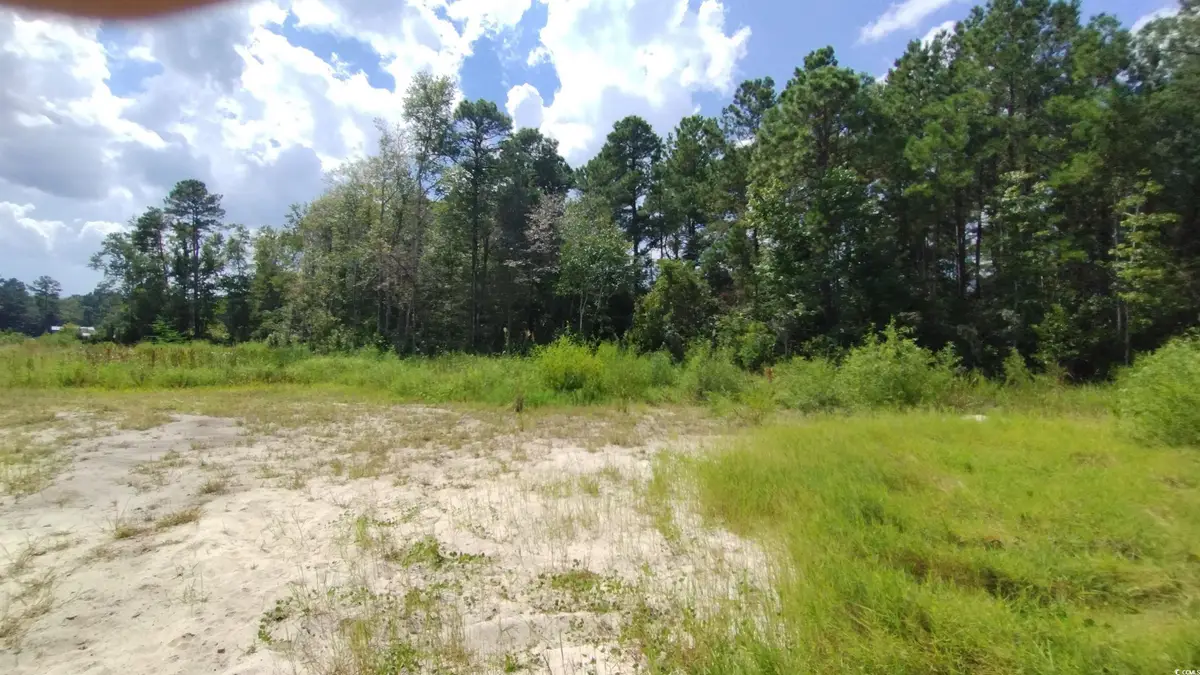 2950 Hugo Rd., Conway, SC 29526 - #1