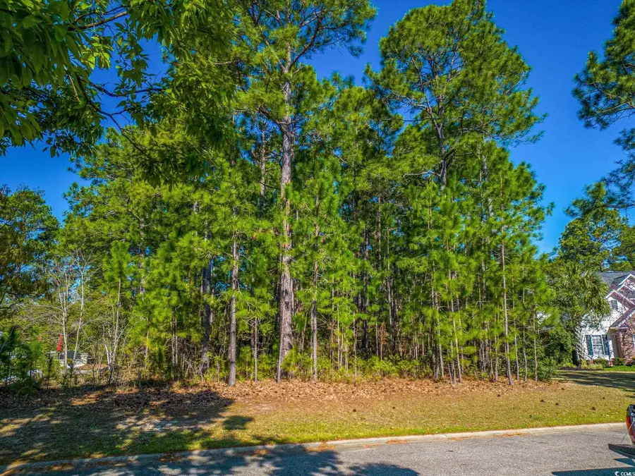 4374 Winged Foot Ct., Myrtle Beach, SC 29579 - Image #2