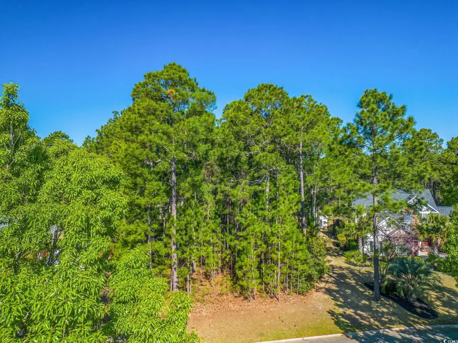 4374 Winged Foot Ct., Myrtle Beach, SC 29579 - Image #3