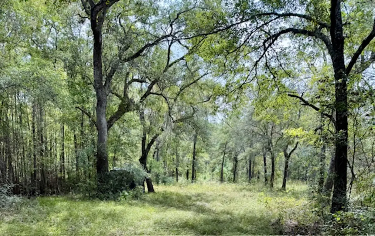 140 Waccamaw River Dr., Conway, SC 29526 - #1