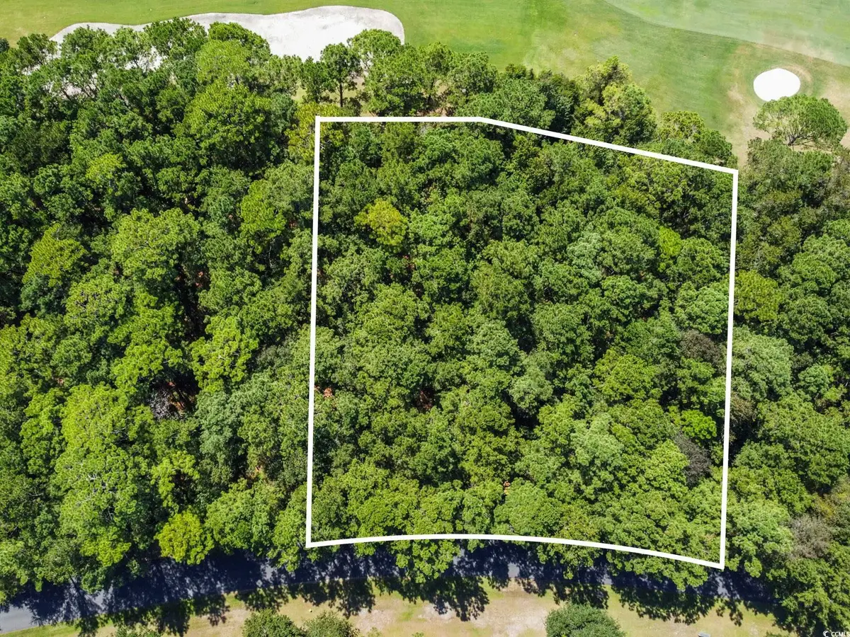 Lot 305 Wallace Pate Dr., Georgetown, SC 29440 - Image #1