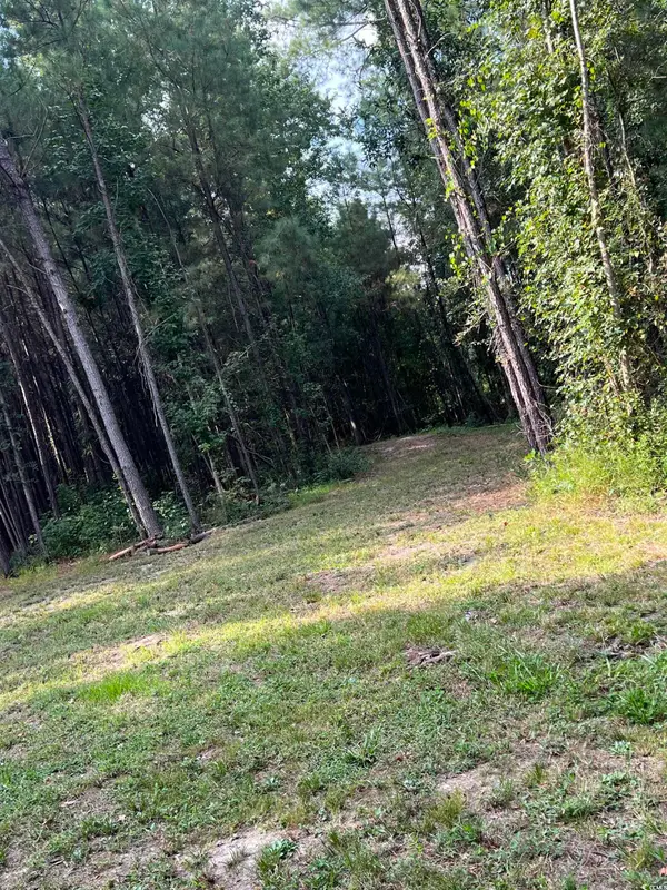 TBD Oglethorpe Dr., Andrews, SC 29510