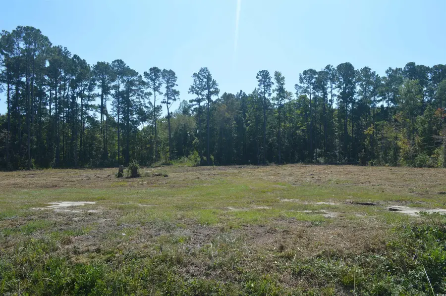 Lot 3 Cypress Dr., Little River, SC 29566 - #2
