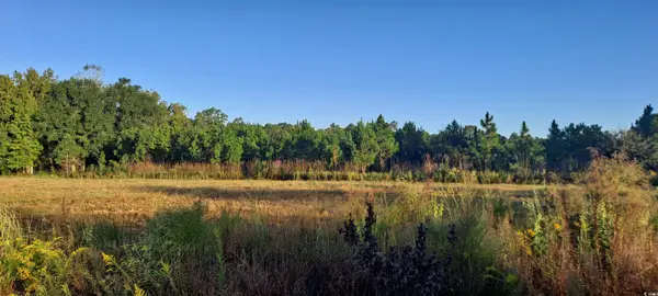 TBD Wee Tee Rd., Andrews, SC 29510