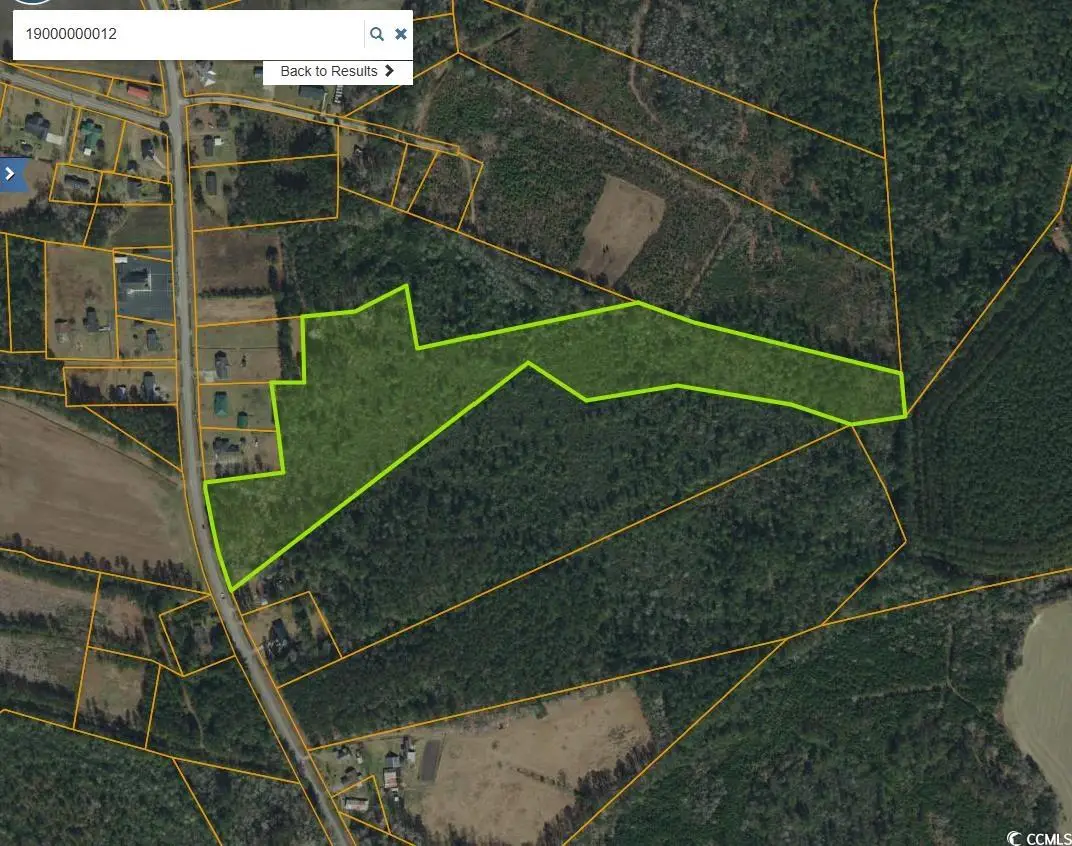 TBD Mount Olive Rd., Loris, SC 29569 - Image #1