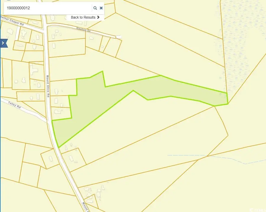 TBD Mount Olive Rd., Loris, SC 29569 - Image #2