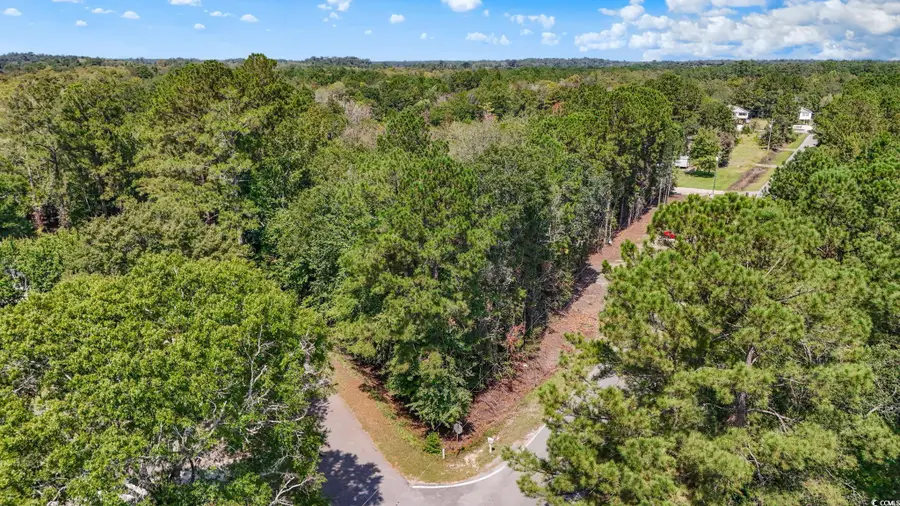 2027 Lees Landing Circle, Conway, SC 29526 - Image #3