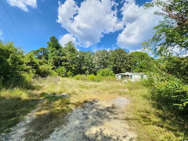 239 Canis Lupus Lane, Aynor, SC 29511