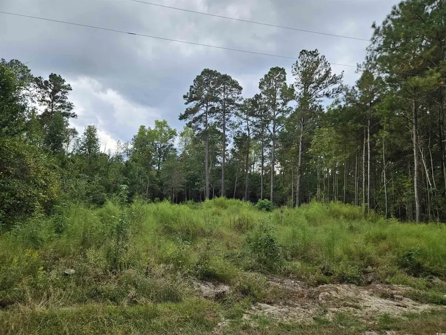 Monument Ct, Marion, SC 29571 - Image #2