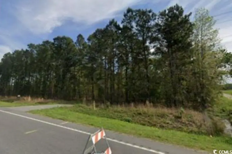 TBD600 Highway 9, Longs, SC 29568 - Image #2