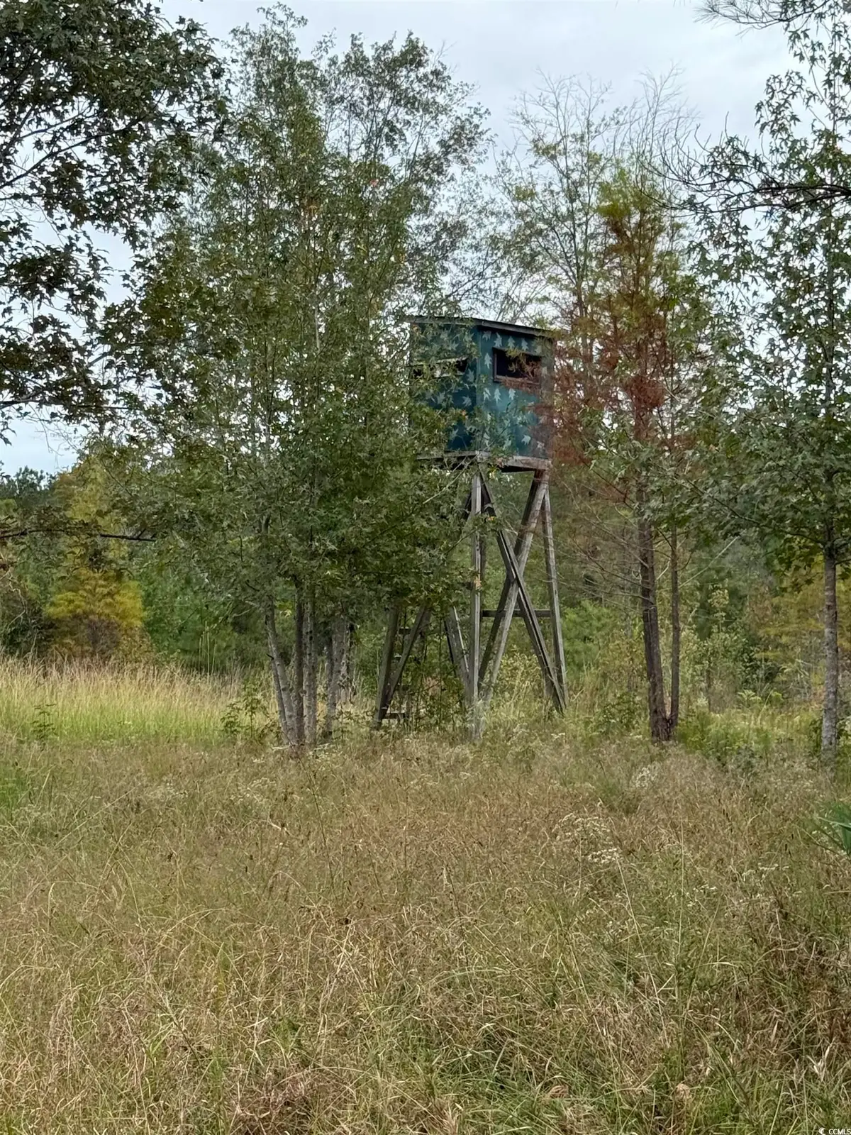 TBD Terrell's Bay Rd., Centenary, SC 29519 - Image #1