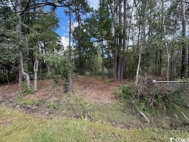 TBD Martin Ln., Georgetown, SC 29440 - Image #2