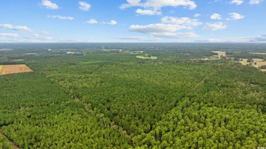 TBD River Bend Rd., Loris, SC 29569 - Image #3