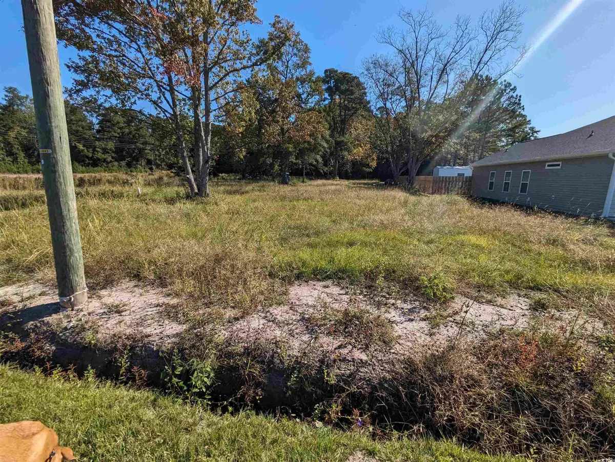 933 Hickman Rd., Tabor City, NC 28463 - Image #1