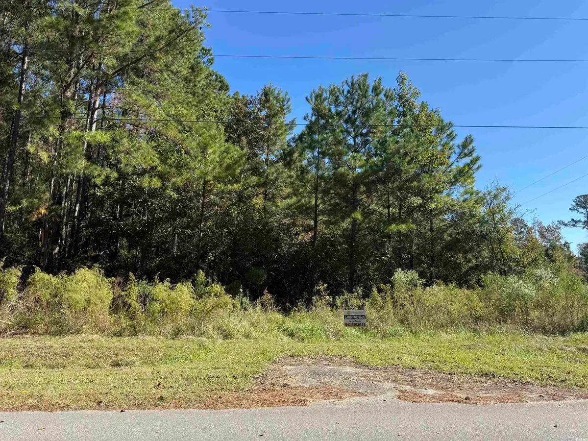 TBD Tharpe Rd., Little River, SC 29566 - #1