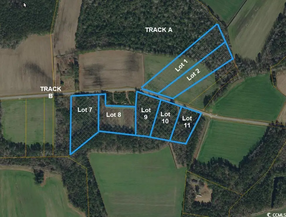 Lot 11 Oak Grove Church Rd., Nichols, SC 29581 - Image #1