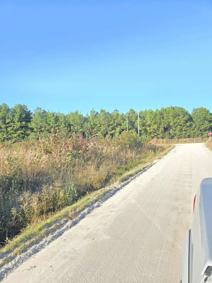 TBD Tranquil Rd., Conway, SC 29527 - Image #3