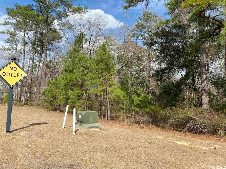 634 Mccown Dr., Conway, SC 29526 - #2