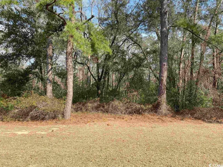 634 Mccown Dr., Conway, SC 29526 - #3