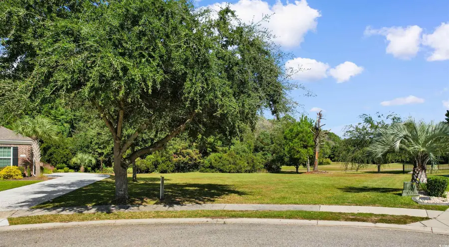 1005 Whooping Crane Dr., Conway, SC 29526 - Image #2