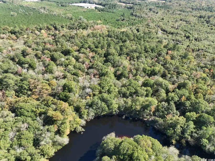 Martin Luther King Jr. Hwy., Kingstree, SC 29556 - Image #3