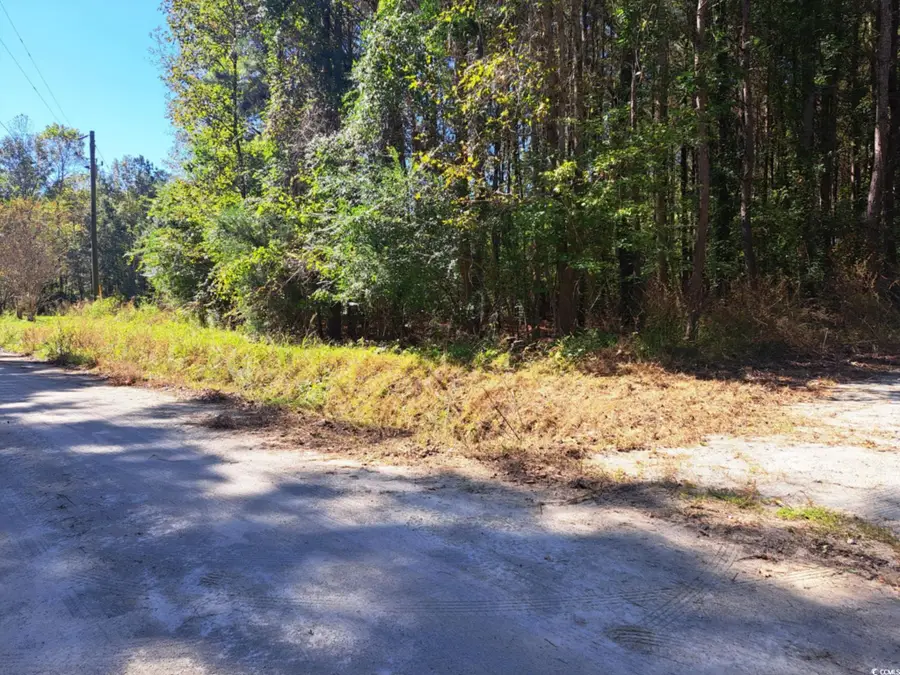 TBD Southfork Rd., Green Sea, SC 29545 - Image #3