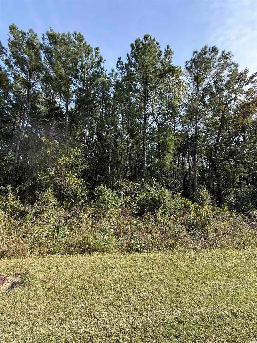 TBD Old Charleston Rd., Georgetown, SC 29440 - Image #2