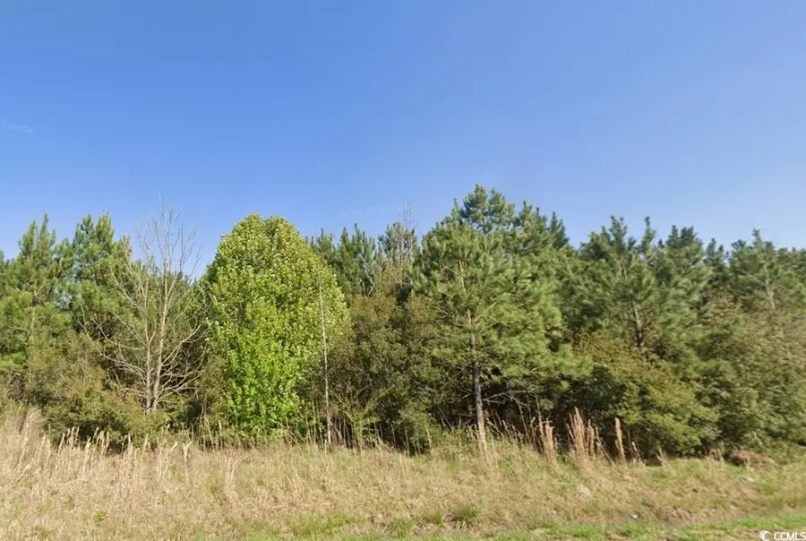 TBD Simpson Creek Dr., Loris, SC 29569 - Image #2