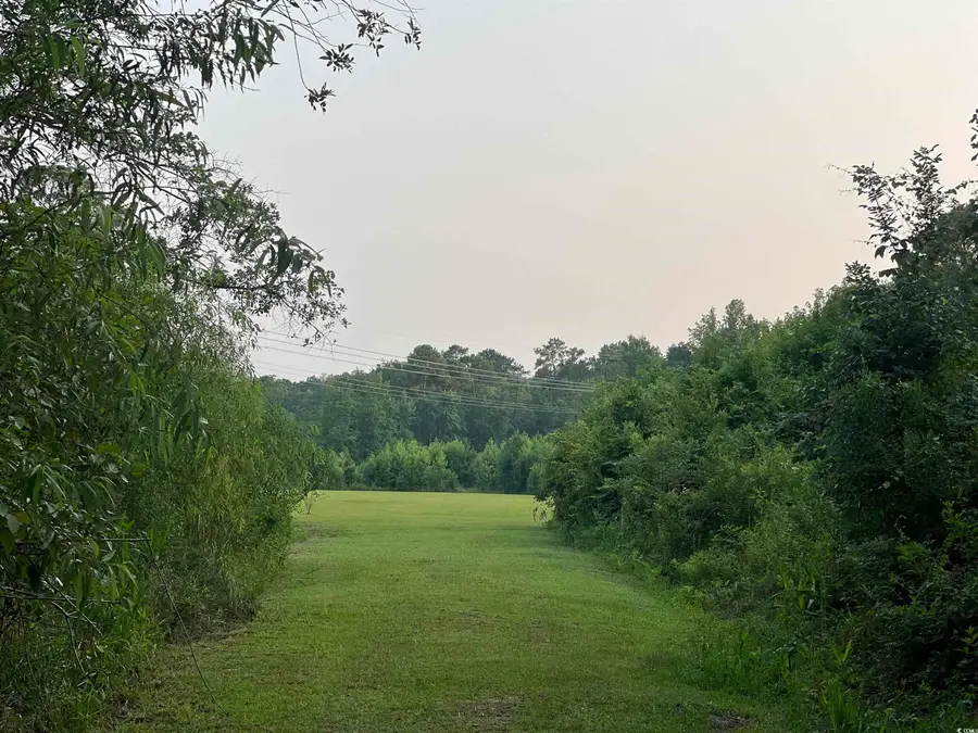 5241 Cates Bay Hwy., Conway, SC 29527 - Image #3