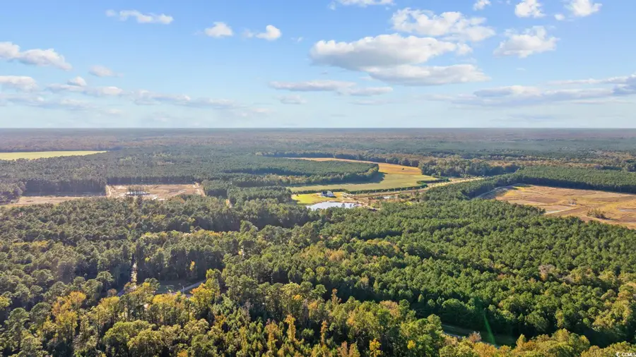 TBD Mahalia Dr., Conway, SC 29527 - Image #3