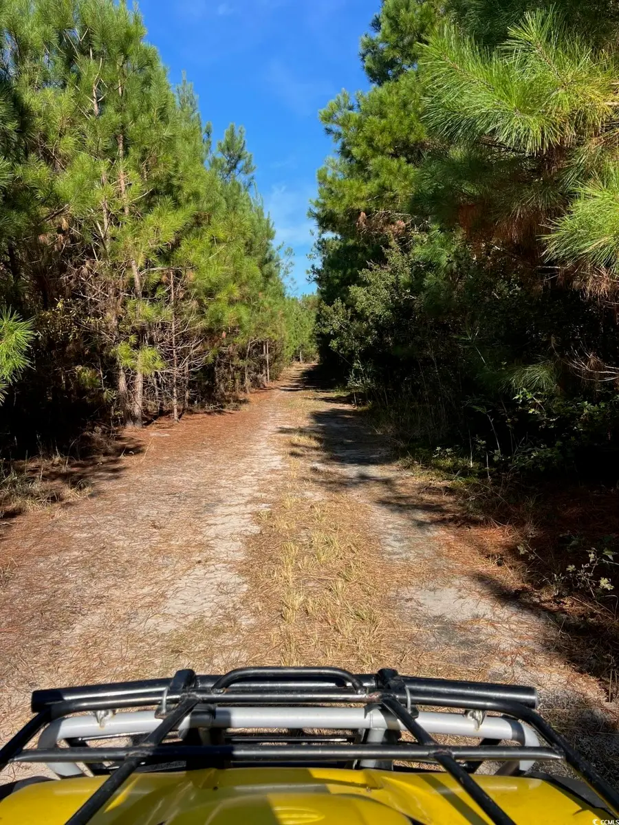 TBD Sand Plant Rd., Nichols, SC 29581 - Image #3