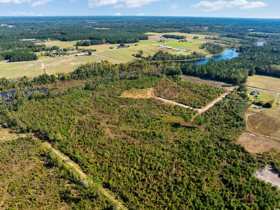 TBD J H Martin Rd., Galivants Ferry, SC 29544 - Image #3