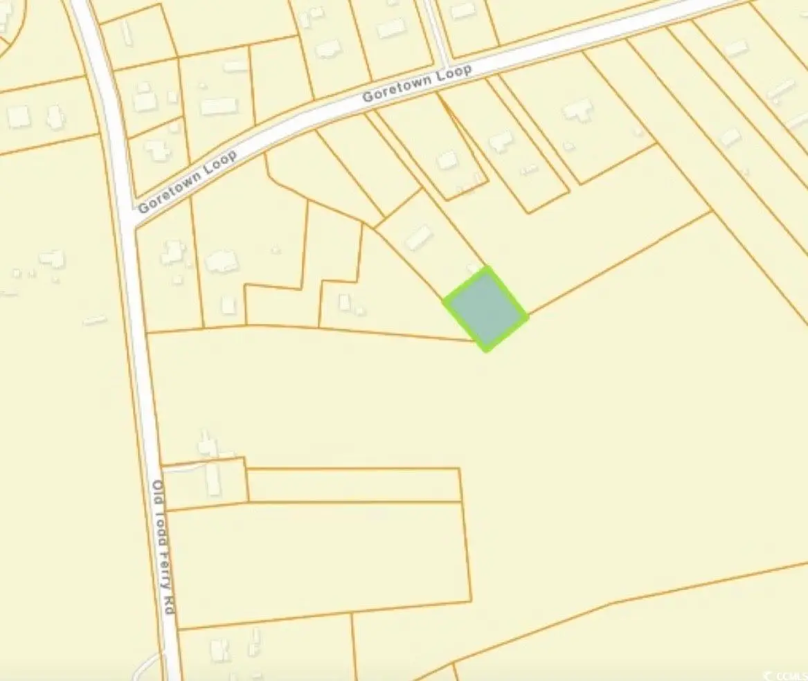 TBD Goretown Loop, Loris, SC 29569 - #1