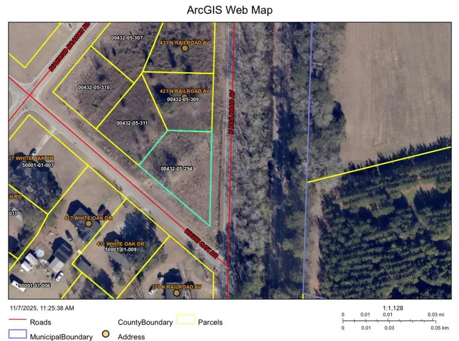 TBD N Railroad Ave., Johnsonville, SC 29555 - Image #2