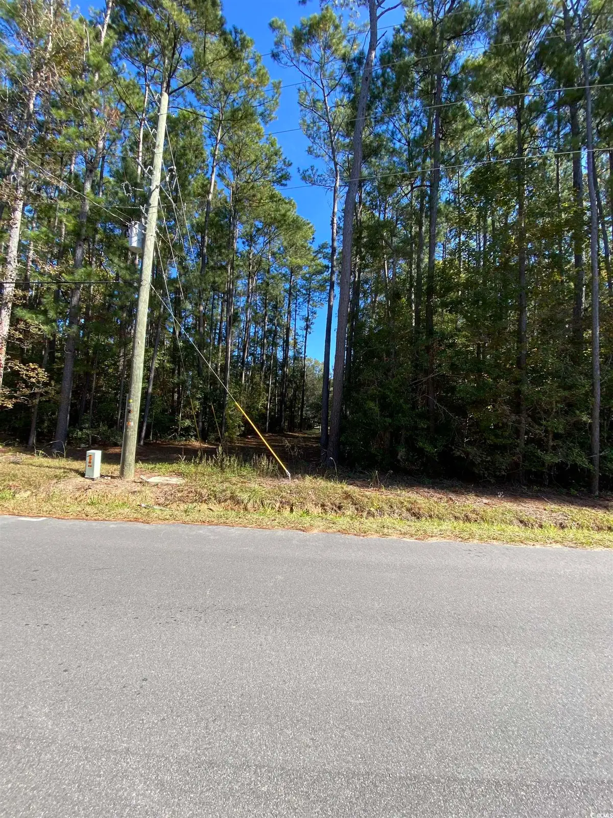 2115 Chavis Rd., Conway, SC 29526 - Image #1