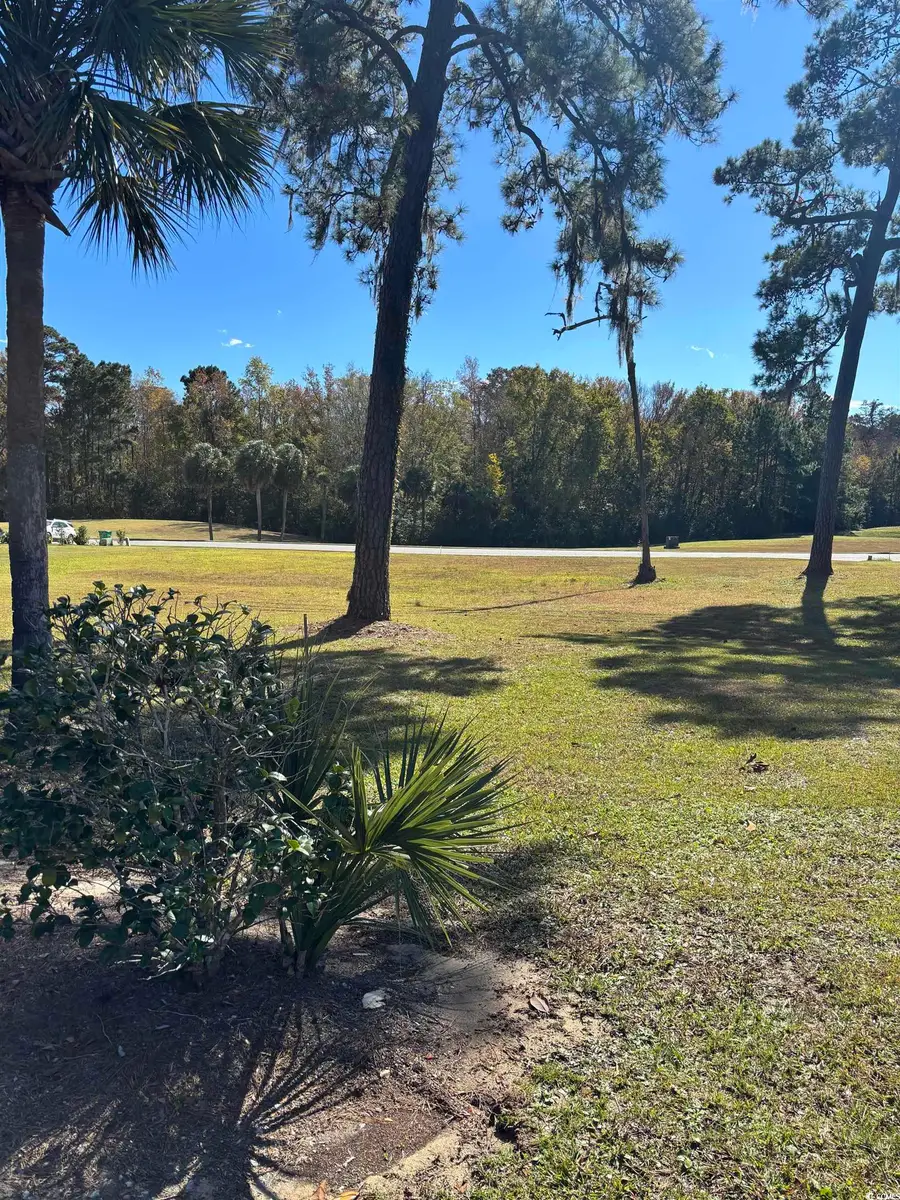 829 Commanders Island Rd., Georgetown, SC 29440 - Image #2