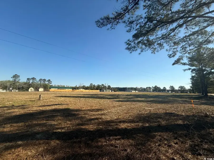 TBD Pocosin Rd., Latta, SC 29565 - Image #3