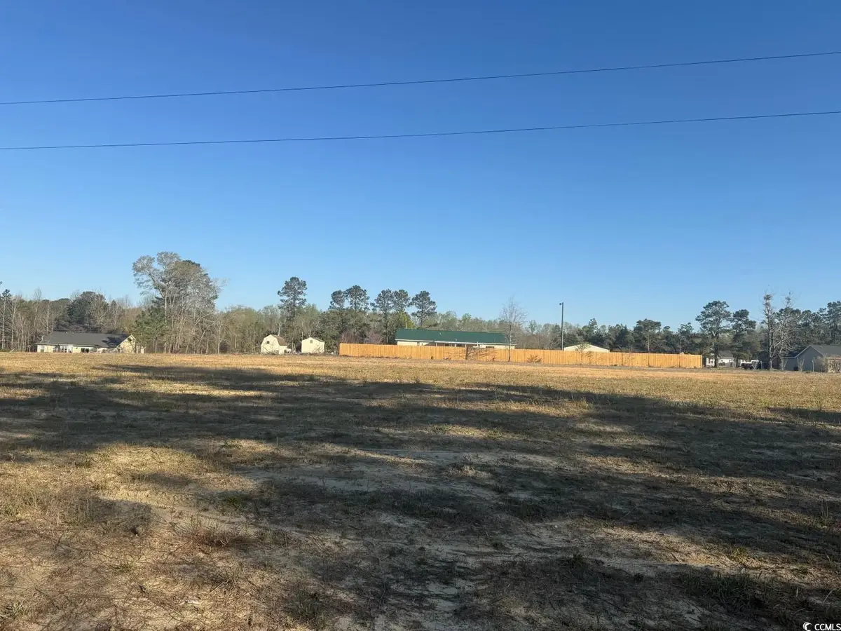TBD Janice Ct, Latta, SC 29565 - #1