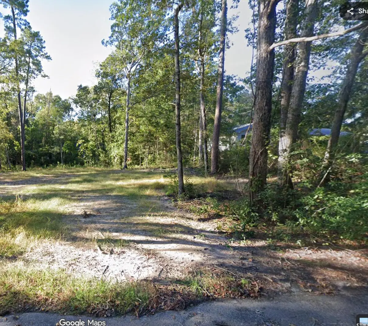234 Pineneedle Circle, Johnsonville, SC 29555 - Image #1